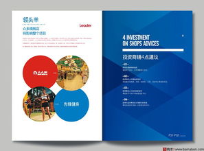 布魯卡卡馮房產(chǎn)畫冊設(shè)計 融合創(chuàng)意與科技的軟件開發(fā)實踐